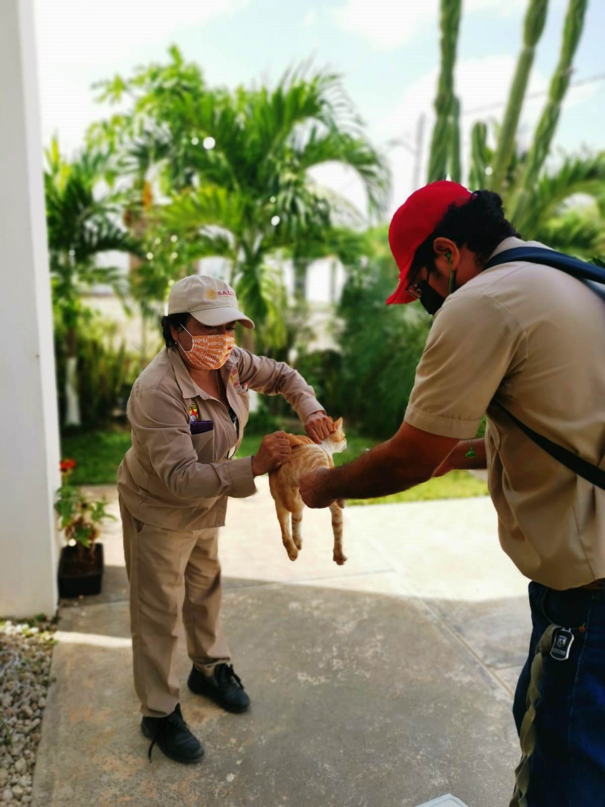COMBATE AL DENGUE, VACUNACIÓN ANTIRRÁBICA Y DESINFECCIÓN DE SITIOS PÚBLICOS