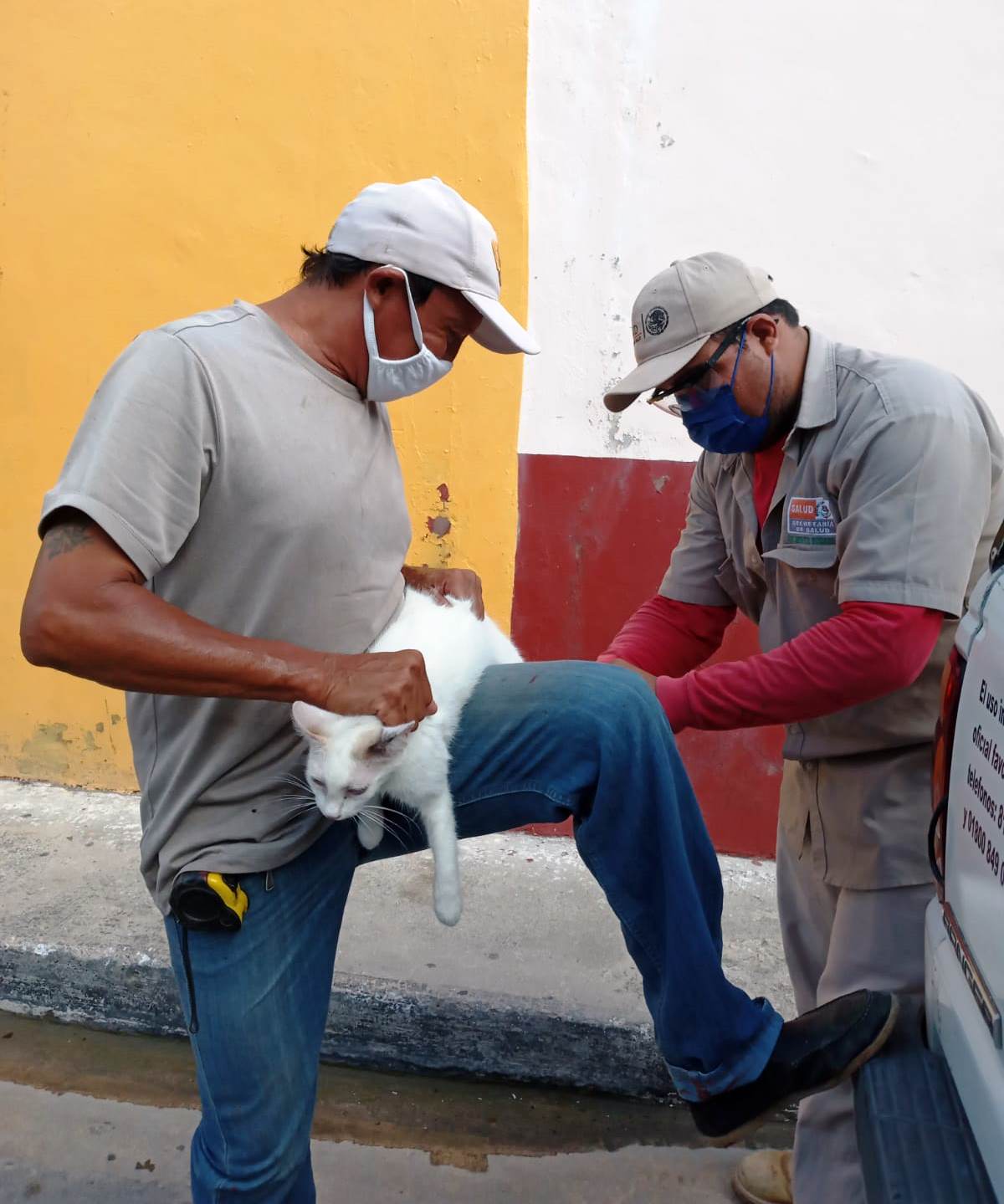 IMPULSA JURISDICCIÓN SANITARIA NO. 1 CULTURA DE LA PREVENCIÓN DE PADECIMIENTOS CON ACCIONES DE COMBATE AL DENGUE Y VACUNACIÓN ANTIRRÁBICA