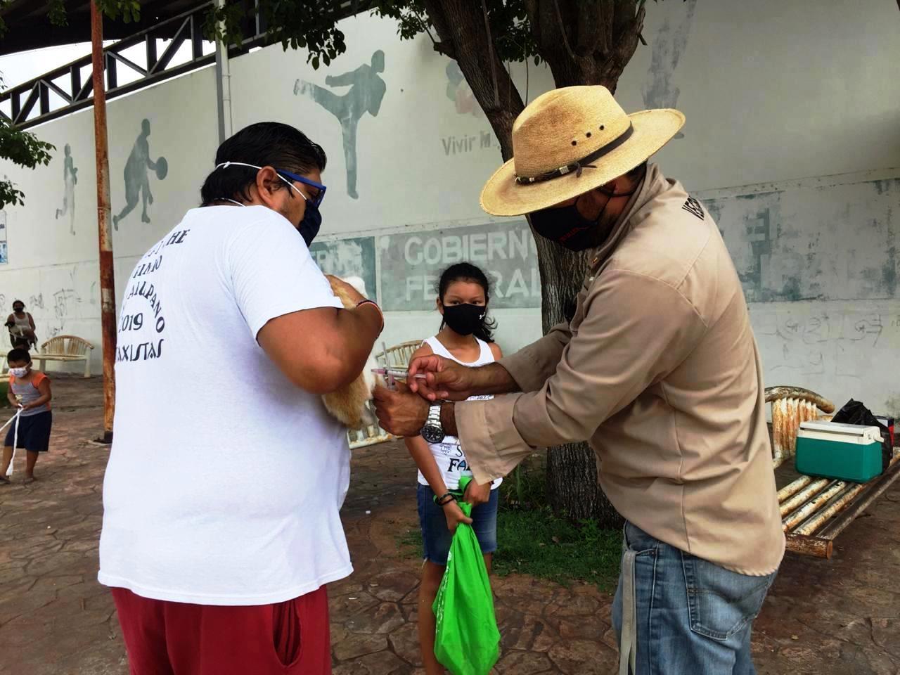 EN CAMPECHE SE APLICARÁN 67 MIL DOSIS DE VACUNA ANTIRRÁBICA CANINA Y FELINA 