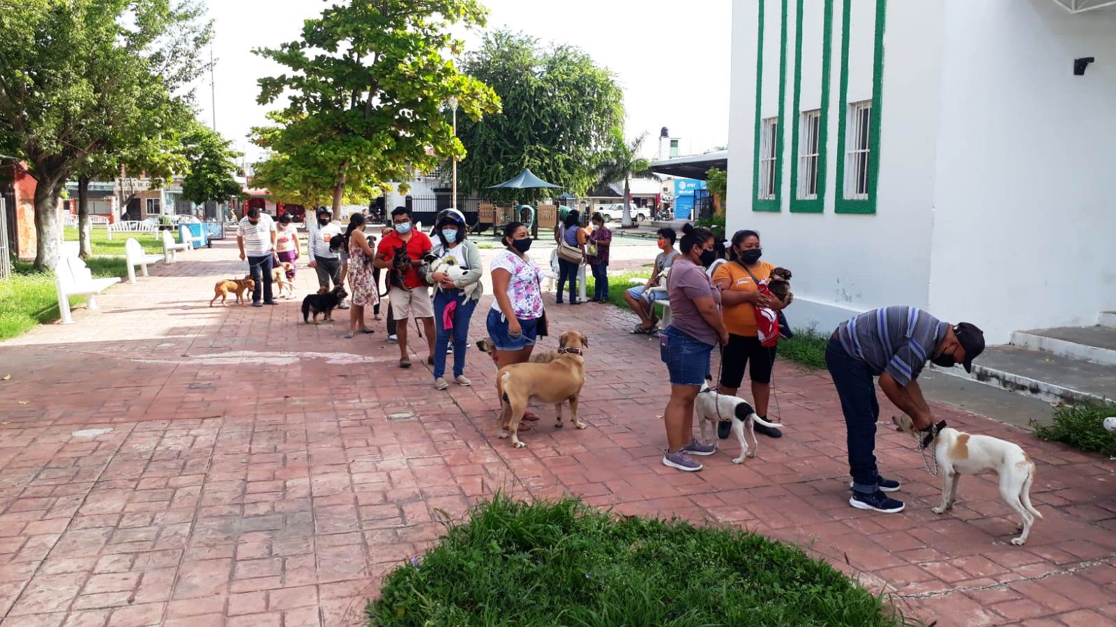 INTENSIFICA SECRETARÍA DE SALUD COMBATE AL DENGUE Y VACUNACIÓN ANTIRRÁBICA EN MUNICIPIOS DEL ESTADO   