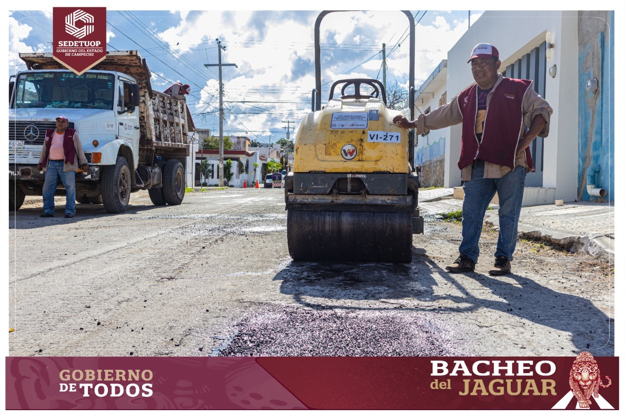 BACHEO DEL JAGUAR EN LA UNIDAD HABITACIONAL “CIUDAD CONCORDIA” DEL MUNICIPIO DE CAMPECHE